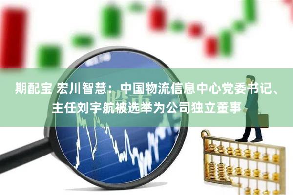 期配宝 宏川智慧：中国物流信息中心党委书记、主任刘宇航被选举为公司独立董事