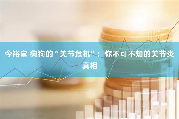 今裕堂 狗狗的“关节危机”：你不可不知的关节炎真相